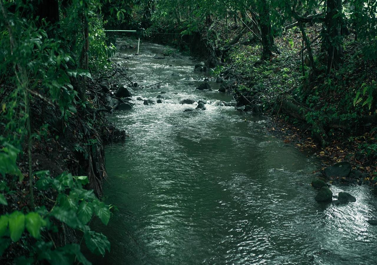 Hotel Eco Arenal La Fortuna Eksteriør bilde