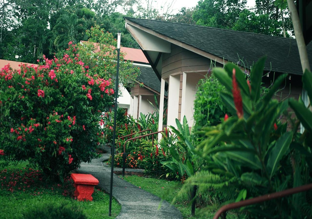 Hotel Eco Arenal La Fortuna Eksteriør bilde