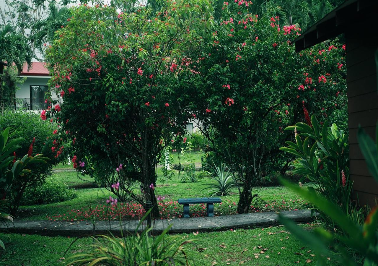 Hotel Eco Arenal La Fortuna Eksteriør bilde
