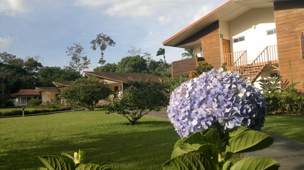 Hotel Eco Arenal La Fortuna Eksteriør bilde