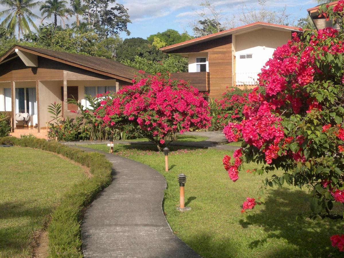 Hotel Eco Arenal La Fortuna Rom bilde